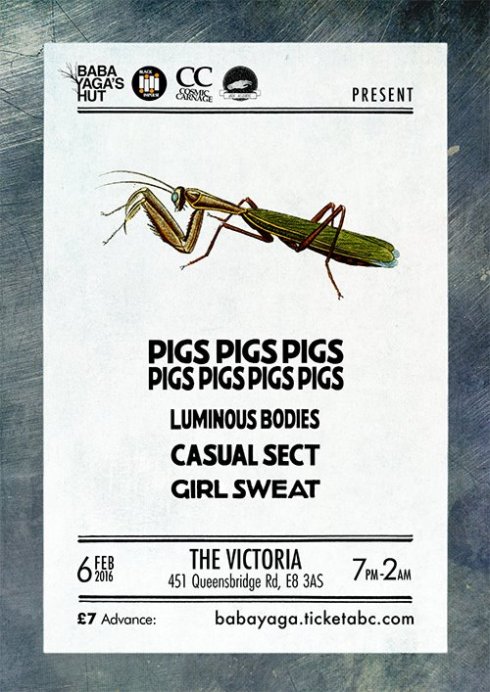 Pigs Pigs Pigs Pigs Pigs Pigs Pigs + Luminous Bodies + Casual Sect + Girl Sweat @ The Victoria, 6th February 2016