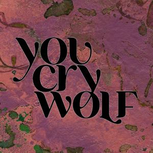 You Cry Wolf