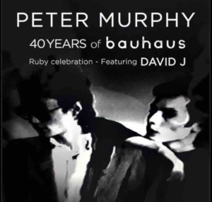 Peter Murphy tour with David J, 2018